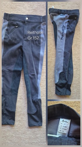 Reithose kinder 152 - kinder,